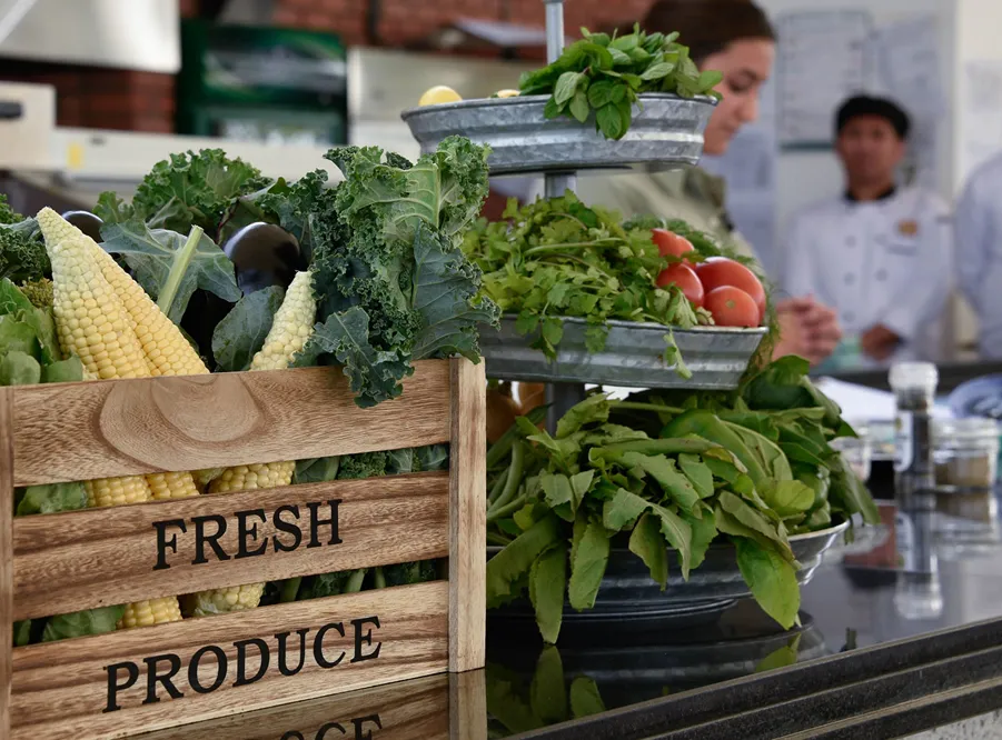 Environmental Impact Of Foods